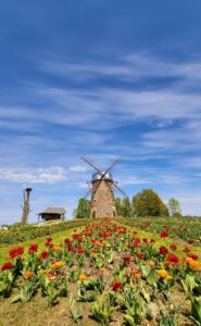 WhatsApp Image 2025-10-07 at 10.13.16